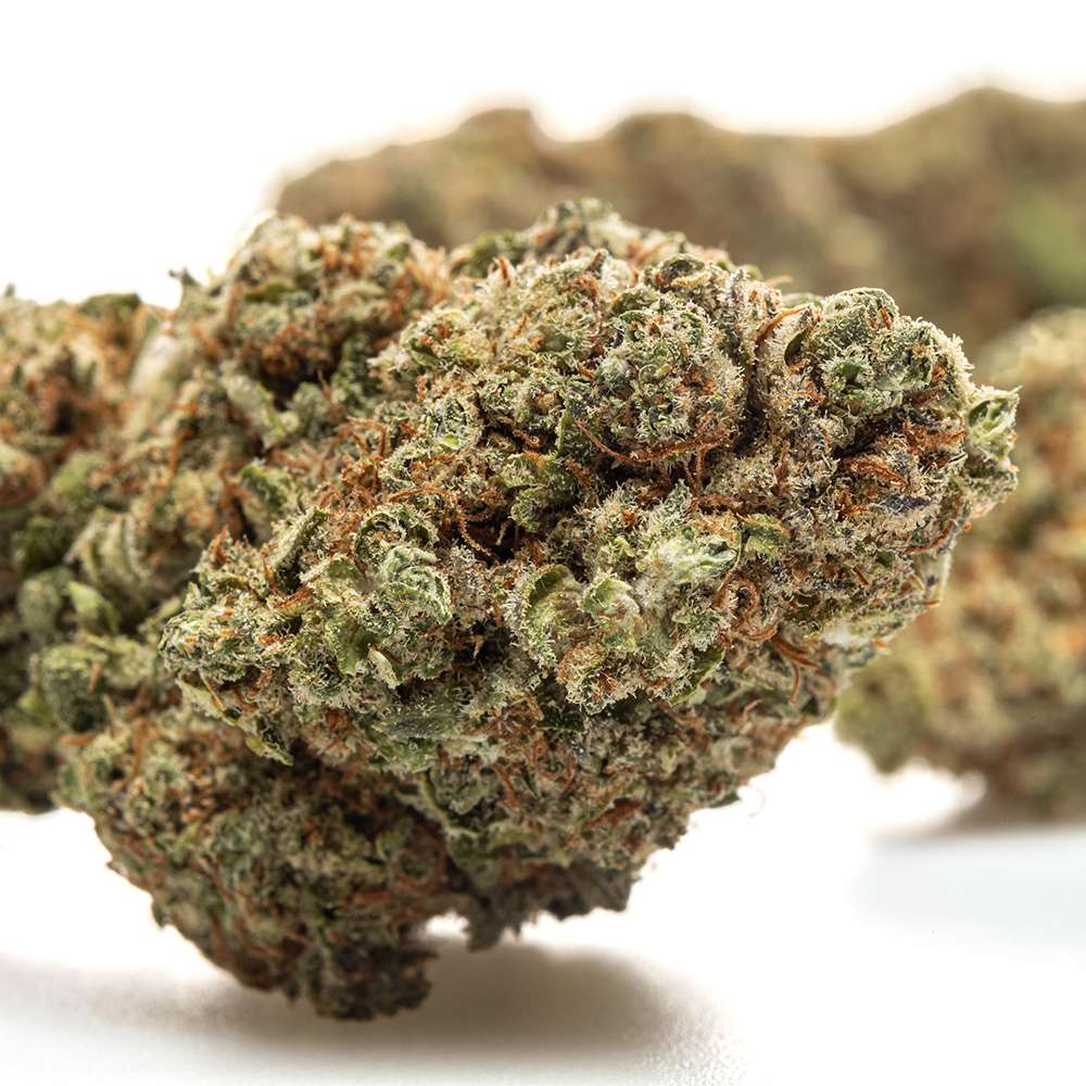 découvrez les bienfaits de la fleur cbd forbidden fruit 2026 : détente, bien-être et naturel pour une expérience unique.