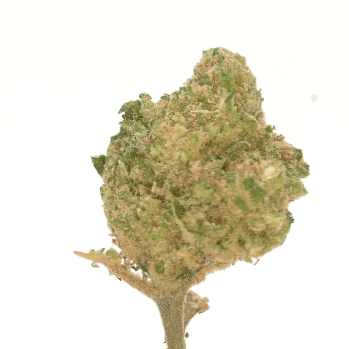 découvrez les effets du mango après la consommation de cannabis, leurs interactions et comment la mangue peut influencer votre expérience.