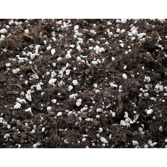 découvrez les différences entre le terreau light mix et all mix pour choisir celui qui convient le mieux à vos plantes et à vos besoins de jardinage.