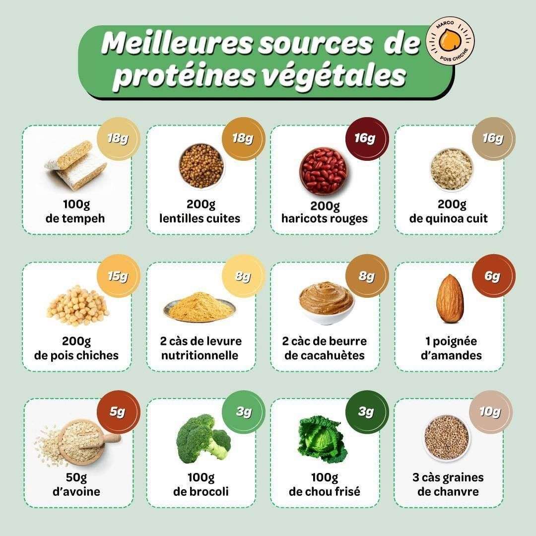 découvrez les bienfaits de la protéine de chanvre et nos conseils pour l'intégrer facilement dans votre alimentation pour une santé optimale.